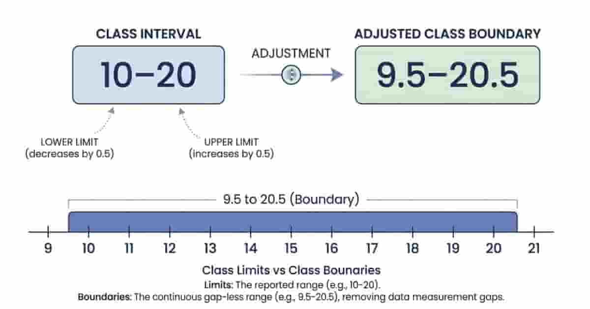 Boundaries Math What Are Class Boundaries in Statistics? (Definition & Examples)
